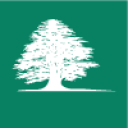 Авиакомпания Middle East Airlines